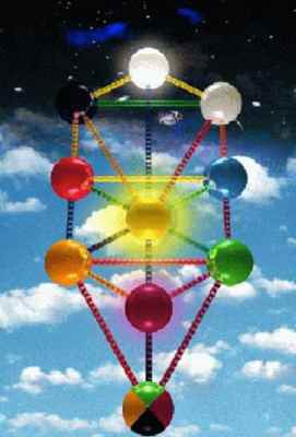 The Tree of Life